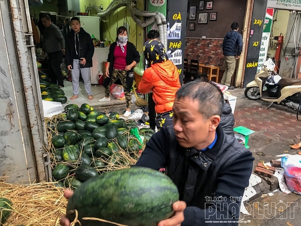 suc manh cua mang xa hoi nguoi dan ha noi chung taygiai cuu dua hau binh dinh