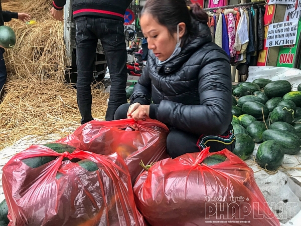 suc manh cua mang xa hoi nguoi dan ha noi chung taygiai cuu dua hau binh dinh