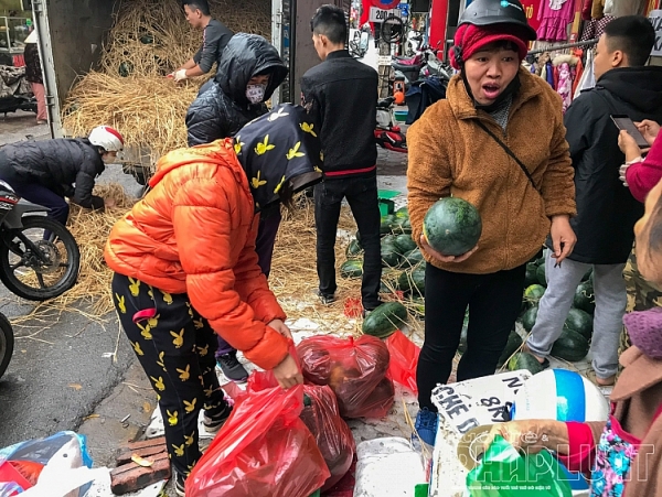 suc manh cua mang xa hoi nguoi dan ha noi chung taygiai cuu dua hau binh dinh