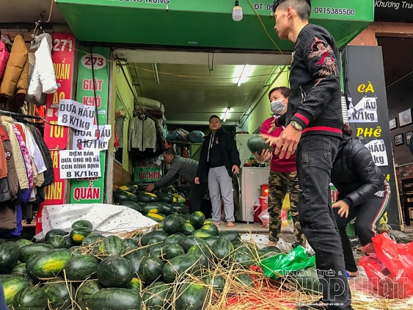 suc manh cua mang xa hoi nguoi dan ha noi chung taygiai cuu dua hau binh dinh