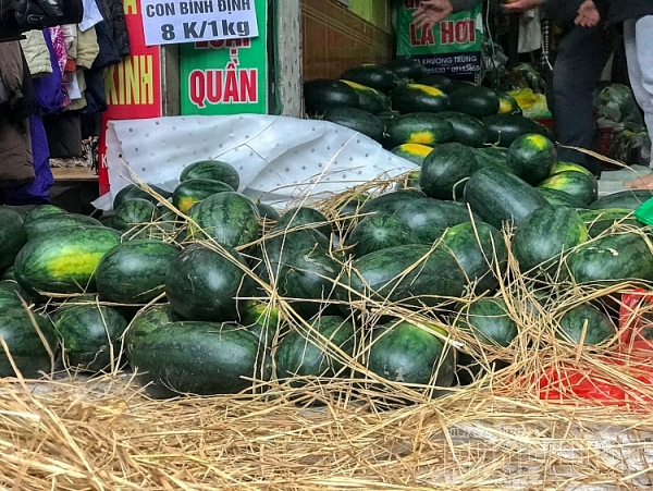 suc manh cua mang xa hoi nguoi dan ha noi chung taygiai cuu dua hau binh dinh