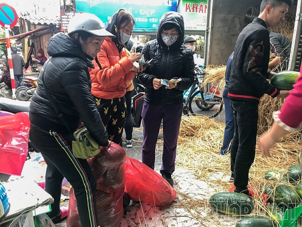 suc manh cua mang xa hoi nguoi dan ha noi chung taygiai cuu dua hau binh dinh