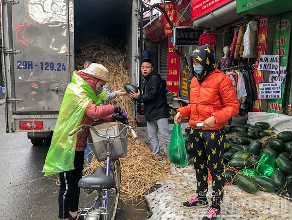 suc manh cua mang xa hoi nguoi dan ha noi chung taygiai cuu dua hau binh dinh