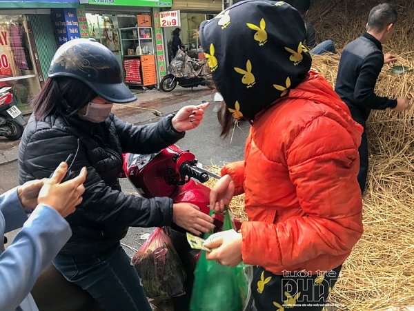 suc manh cua mang xa hoi nguoi dan ha noi chung taygiai cuu dua hau binh dinh