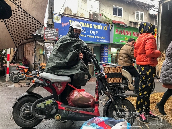 suc manh cua mang xa hoi nguoi dan ha noi chung taygiai cuu dua hau binh dinh
