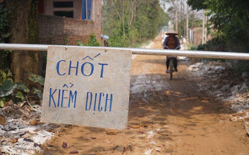 Hà Nội tiêu hủy gần 7.000 con gia cầm nhiễm cúm A H5N6 ha noi tieu huy gan 7000 con gia cam nhiem cum a h5n6