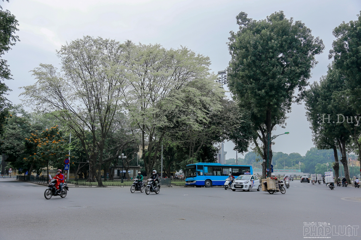 ha noi ngan ngo trong sac sua trang tinh khoi