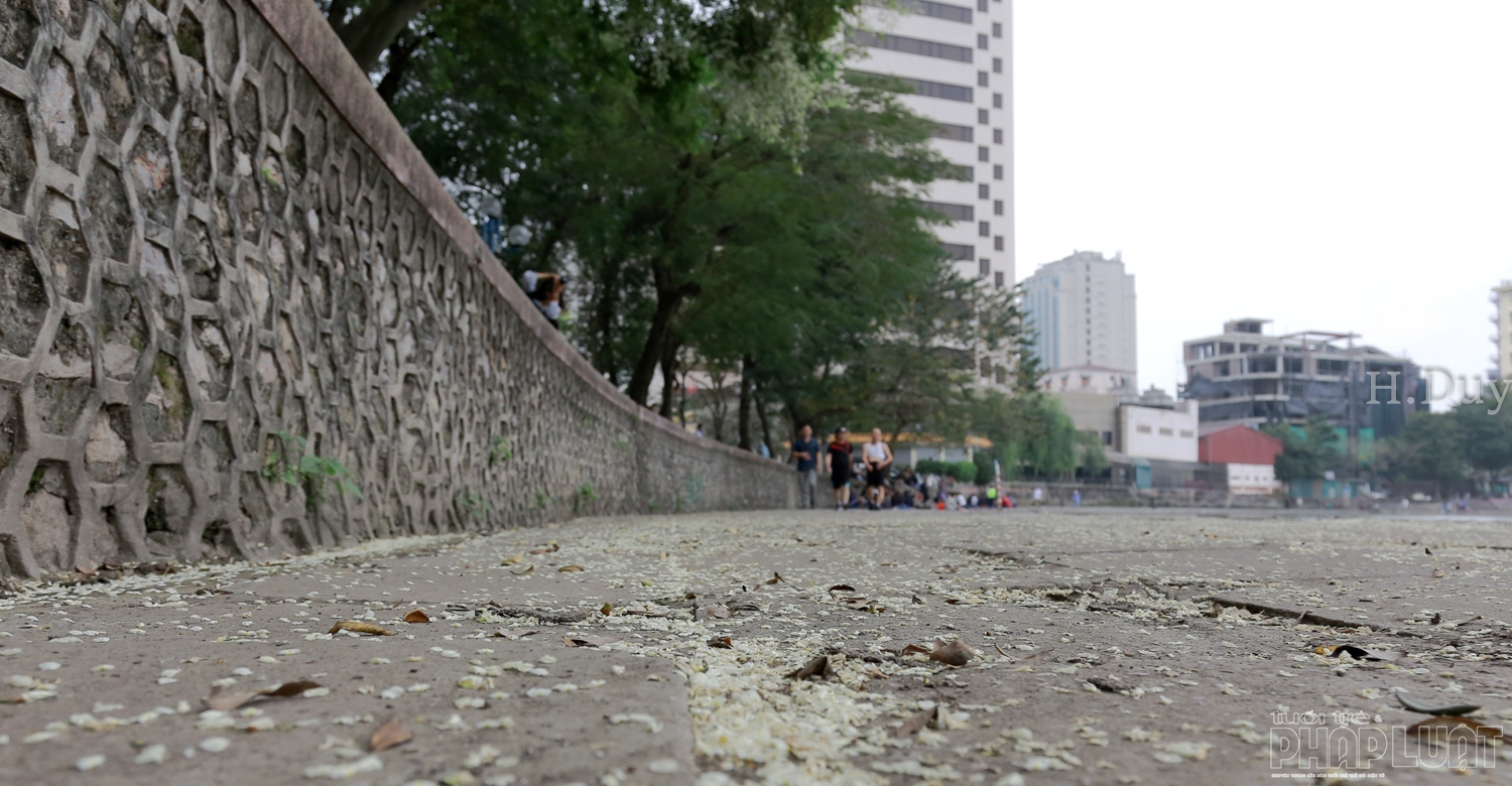 ha noi ngan ngo trong sac sua trang tinh khoi