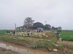 hai duong tao dieu kien thuan loi nhat van chuyen tieu thu ca rot o duc chinh