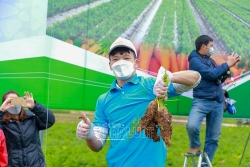 du lich trai nghiem tao da cho nong nghiep phat trien ben vung