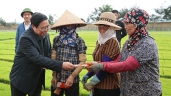 thu tuong di cay li xi dau nam cho nong dan hai duong