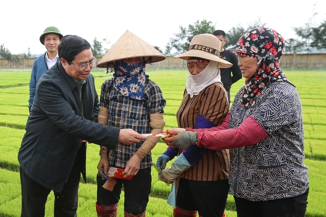 Thủ tướng xuống đồng cấy lúa, thu hoạch cà rốt cùng nông dân