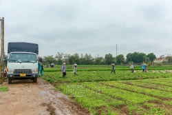 hai duong hoan thanh nhiem vu xay dung nong thon moi