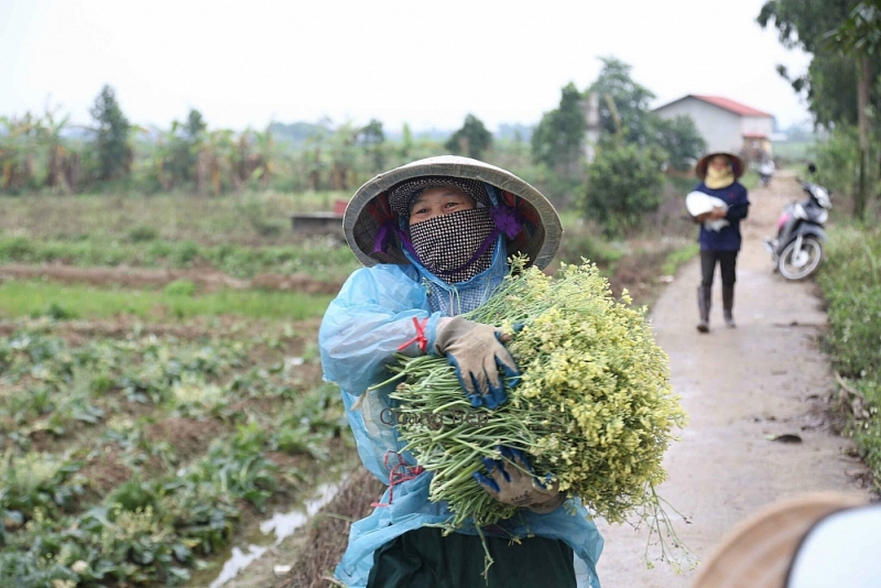 Những bó hoa “chỉ nở mùa Covid 19”