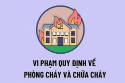 Hải Dương: Công ty nông sản Tân Tiến bị phạt do vi phạm phòng cháy chữa cháy