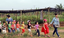 Hải Dương: Dừng tổ chức ăn bán trú; tạm dừng các hoạt động trải nghiệm, ngoại khóa