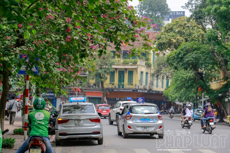 nguoi dan ha noi choi voi tren cac tuyen pho lon dip le 304