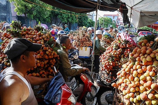 Hải Dương: Tạo điều kiện cho các thương lái, doanh nghiệp ra vào địa bàn thu mua nông sản