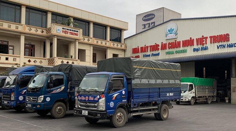 Hải Dương: Phạt Công ty TNHH Thức ăn chăn nuôi Việt Trung 100 triệu đồng