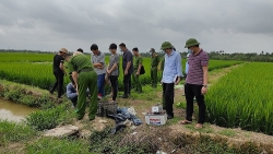 hai duong tang cuong canh bao tinh trang su dung dien bay chuot dan den chet nguoi