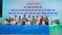 hai duong sap to chuc hoi nghi xuc tien tieu thu vai thieu thanh ha