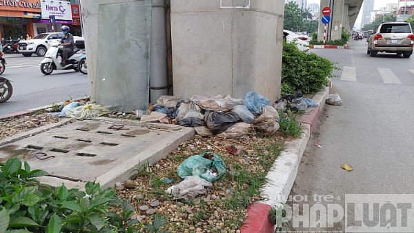 o trau o ga day dac tren duong nguyen trai