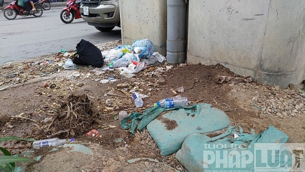 o trau o ga day dac tren duong nguyen trai