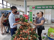 hai duong day manh tuyen truyen quang ba xuc tien tieu thu vai thieu