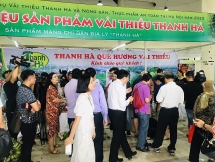 hai duong to chuc le hoi vai thieu san pham ocop va nong san vao dau thang 6