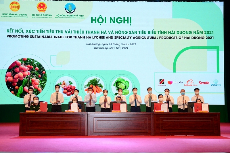 Hội nghị kết nối, xúc tiến tiêu thụ vải thiều Thanh Hà và nông sản tiêu biểu tỉnh Hải Dương 2021