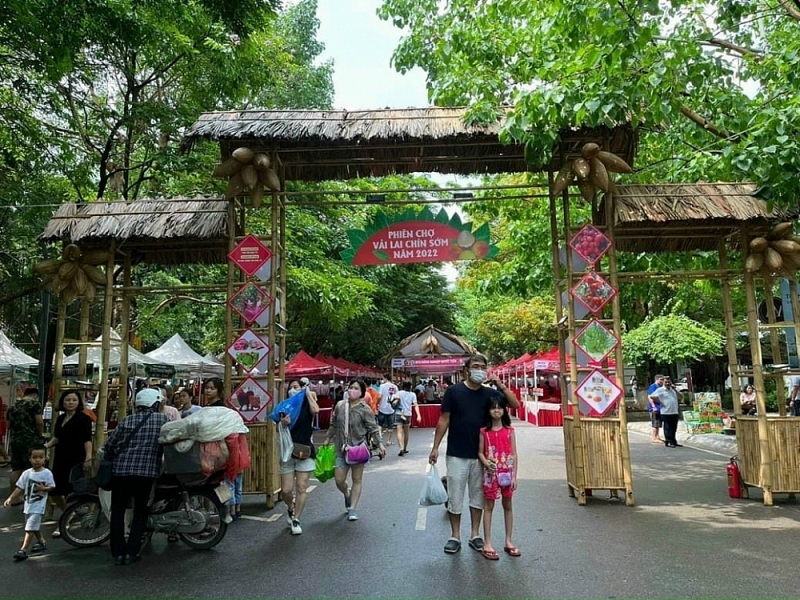 Khai mạc phiên chợ vải lai chín sớm tại Hưng Yên