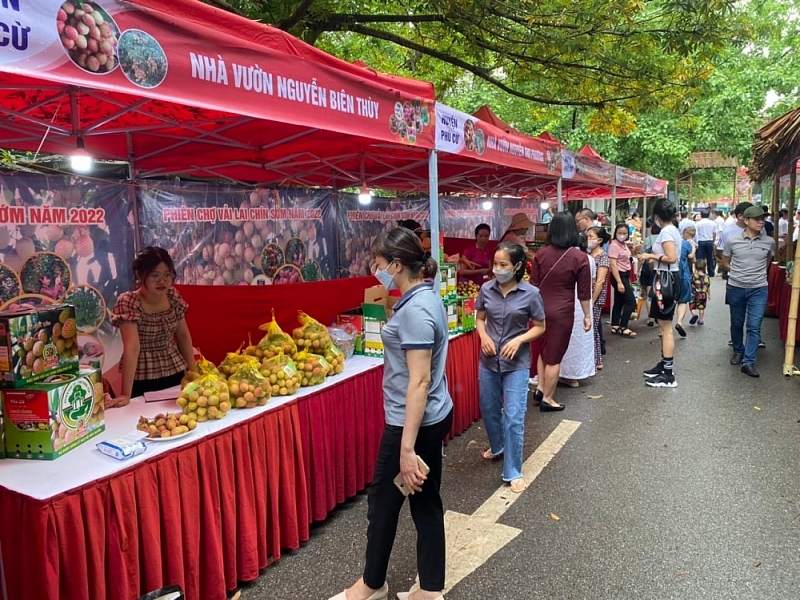 Khai mạc phiên chợ vải lai chín sớm tại Hưng Yên