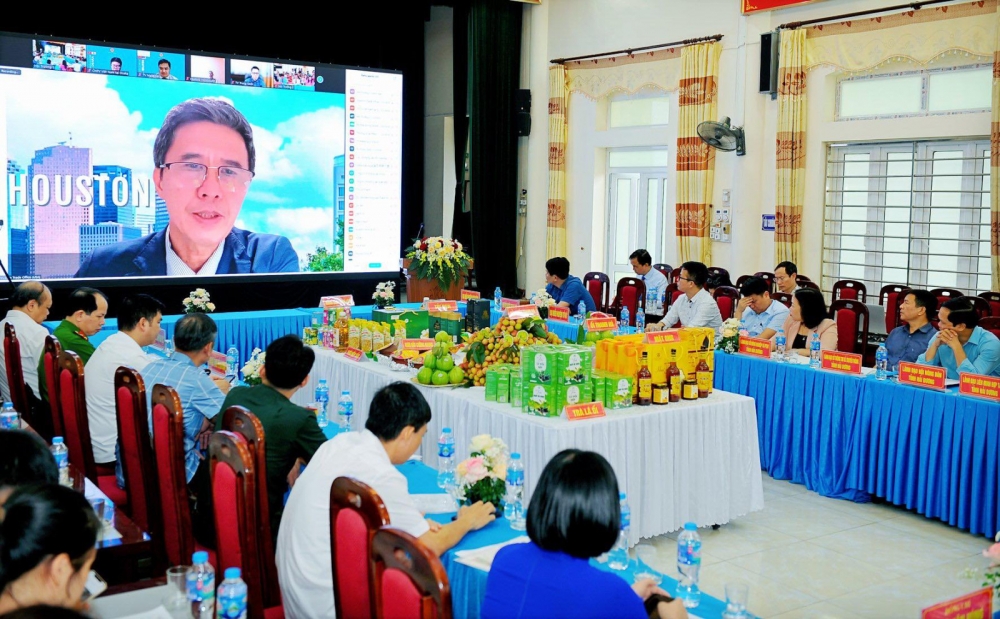 Chủ động tăng cường xúc tiến tiêu thụ vải thiều Thanh Hà (Hải Dương)