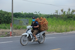 hai duong de xuat dung to chuc le hoi vai thieu thanh ha nam 2021