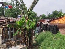 Nhà trọ lụp xụp dưới cái nóng gay gắt