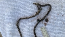 Hải Dương: Phát hiện thi thể nam giới trôi dạt vào bờ sông