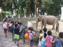 goi y dia diem tham quan tai ha noi nhung ngay cuoi tuan