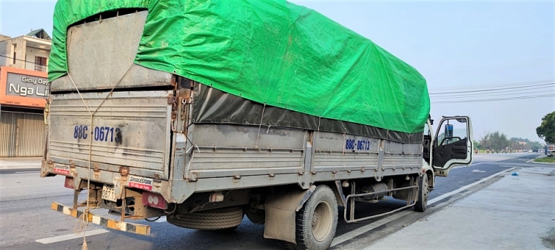 Phương tiện vi phạm về việc sử dụng tem QR Luồng xanh giả.