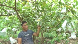 tao dung thi truong tieu thu ben vung nang cao gia tri san pham ocop