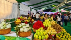 thanh lap ban chi dao festival san pham nong nghiep va lang nghe ha noi