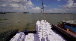 Bất chấp khó khăn, ngành nông nghiệp vẫn xuất siêu 6,3 tỷ USD