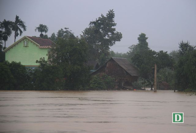 am anh nhung ngoi lang chim sau trong bien nuoc