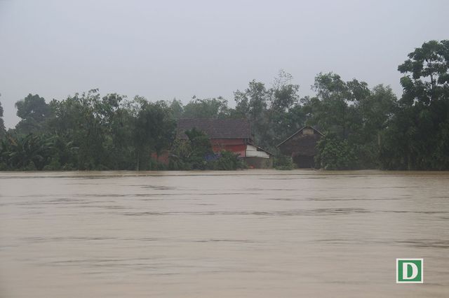 am anh nhung ngoi lang chim sau trong bien nuoc