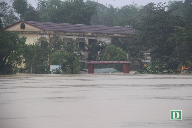 am anh nhung ngoi lang chim sau trong bien nuoc