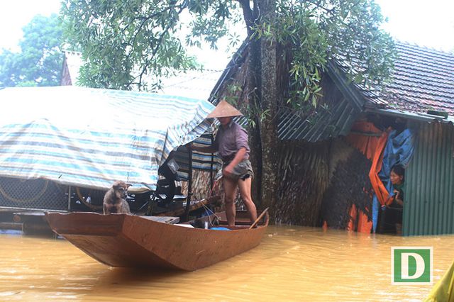 am anh nhung ngoi lang chim sau trong bien nuoc