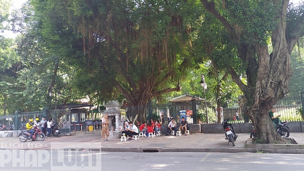 giai khat ngay via he van mieu quoc tu giam