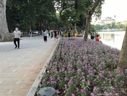 ha noi ubnd quan hoan kien de xuat mo lai pho di bo ho guom