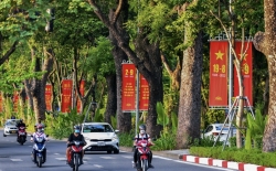 Nhịp đập mạnh mẽ nơi trái tim hồng