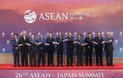 Cần tạo thuận lợi hơn cho xuất khẩu của các nước ASEAN vào thị trường Nhật Bản