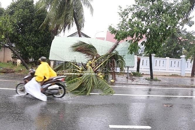 Hình ảnh những thiệt hại do cơn bão số 12 gây nên tại Nha Trang